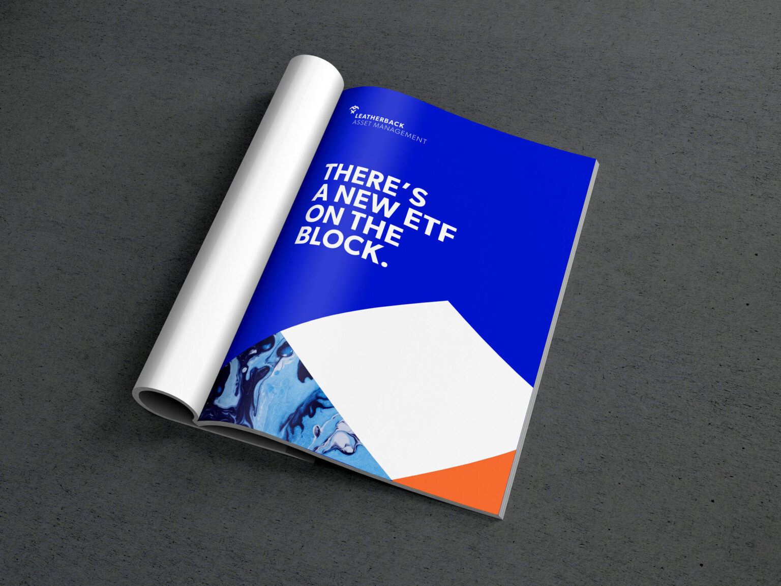 Leatherback Asset Management - open book
